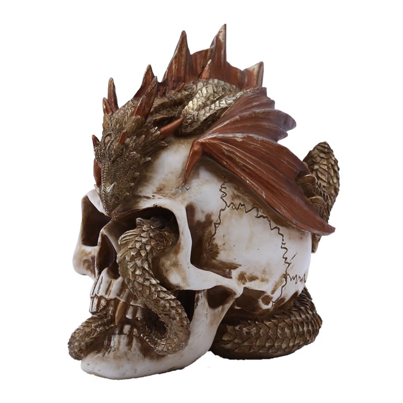 รูปปั้นมังกรหัวกระโหลกเรซิ่น - - Art Craft Bar บทวิจารณ์และราคา