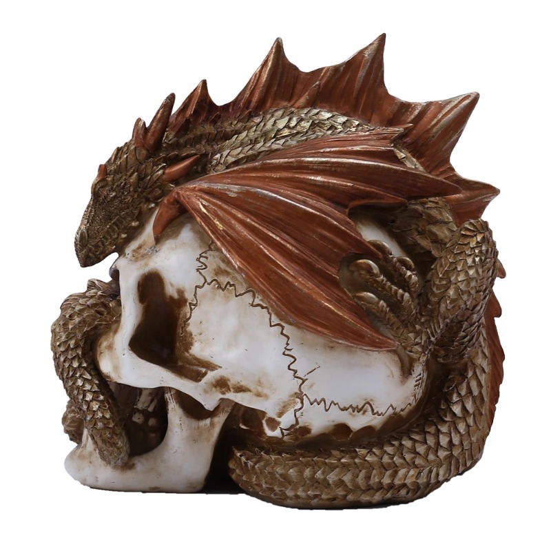 รูปปั้นมังกรหัวกระโหลกเรซิ่น - - Art Craft Bar บทวิจารณ์และราคา