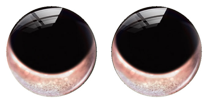 ดวงตาตุ๊กตาแฮนด์เมดรูปทรงกลม ท - Art Craft Eyes บทวิจารณ์และราคา