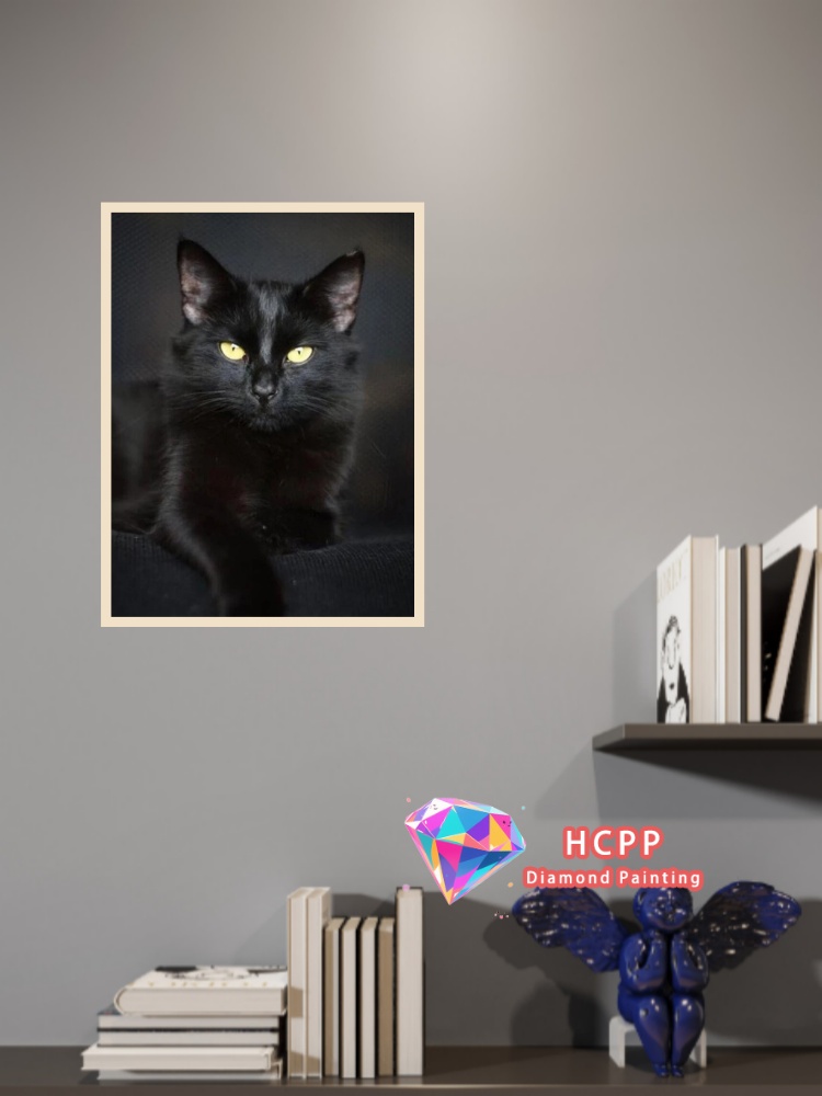 ชุดภาพวาดเพชรรูปแมวดำแบบไม่มีก - Unique Art Craft บทวิจารณ์และราคา